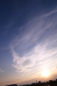 2010-0919-02.jpg