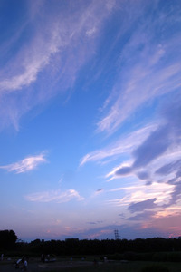 2010-0919-06.jpg