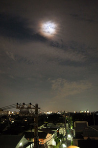 2010-0919-10.jpg