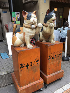 yg04.jpg